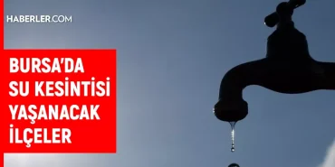 news-1772204942520